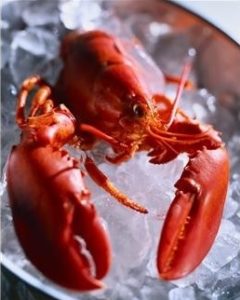 lobster