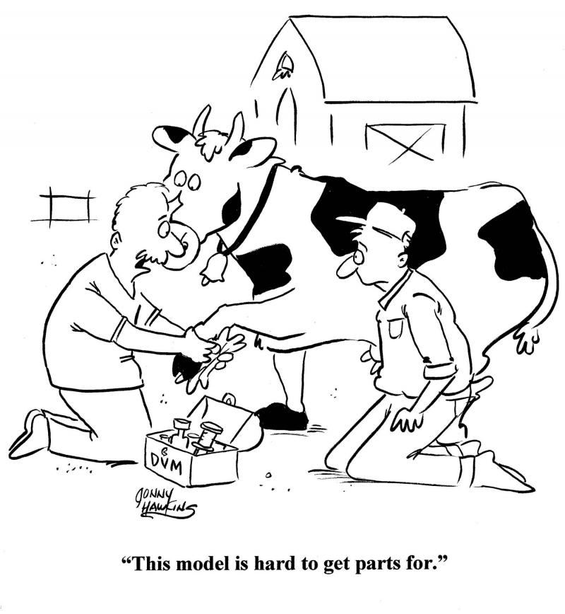 Cartoon of a country vet looking at a cow's foot and commenting "Its hard to find spare parts for these!"