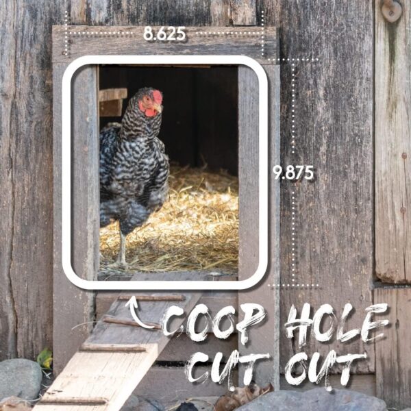 Automatic Chicken Coop Door Opener - Image 5