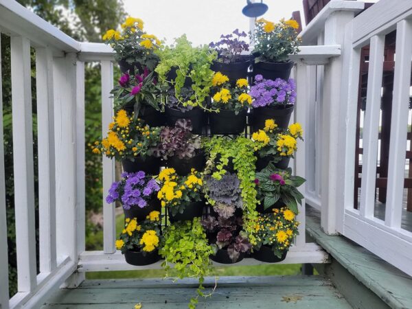 Wall Planters - Image 3