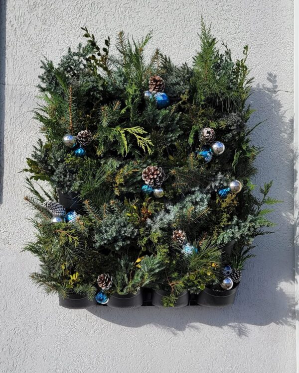 Wall Planters - Image 6