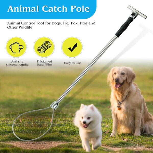 Hog catcher