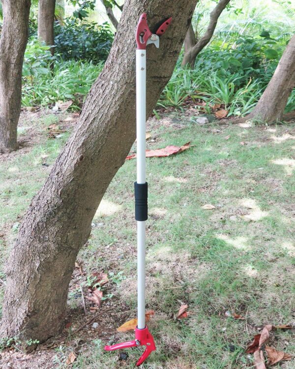 Cut & Hold Telescopic Pruners