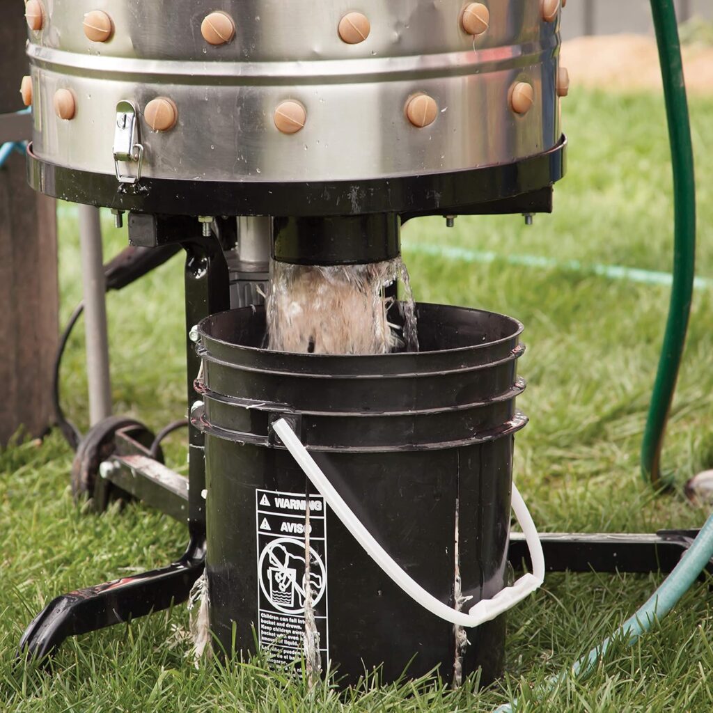 Chicken pluckers easily remove feathers during butchering.