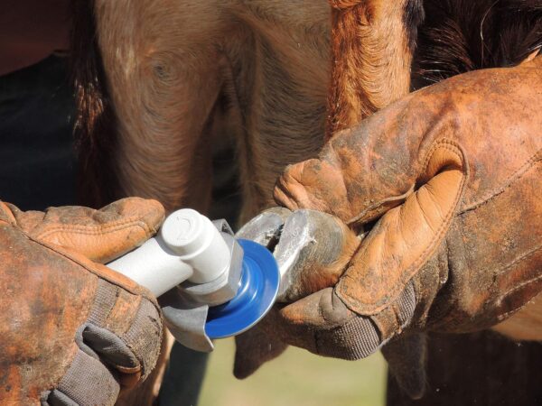 Goat and Sheep Electric Hoof Trimmer