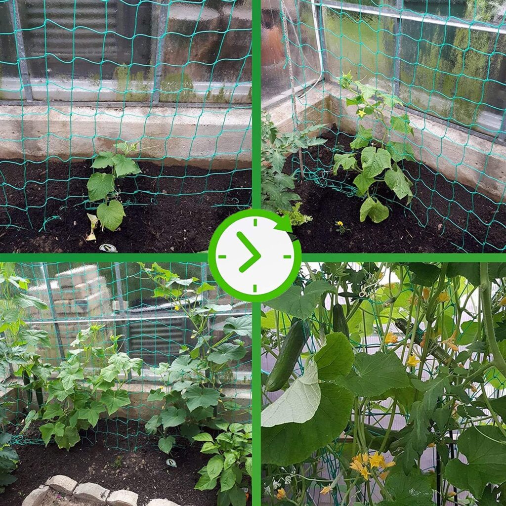Grow produce easier with a labor and space saving trellis.