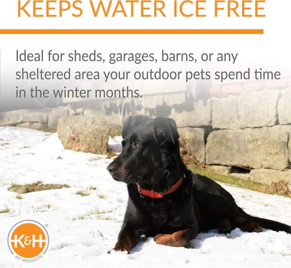 Waterer Heated Pet Bowl