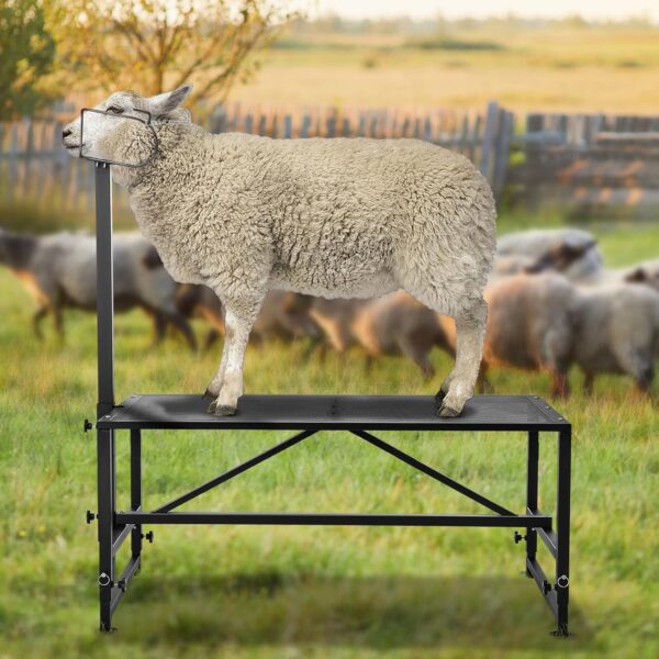 Goat Stanchion - Goat Trimming Stand