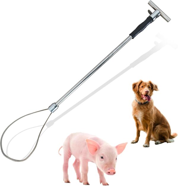 Hog catcher - Image 6