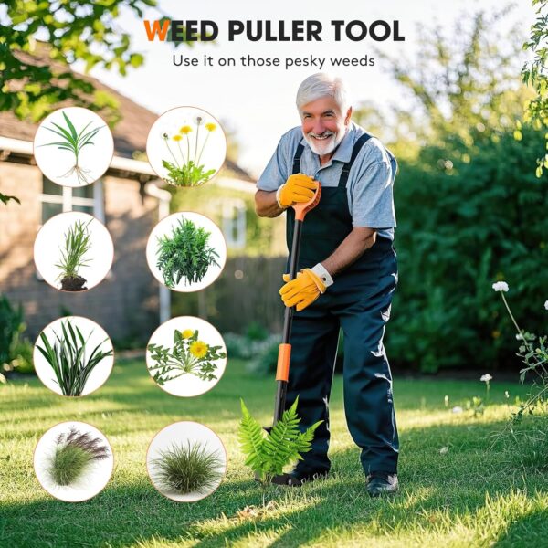 Stand-Up Weeder and Root Removal Tool - Image 3