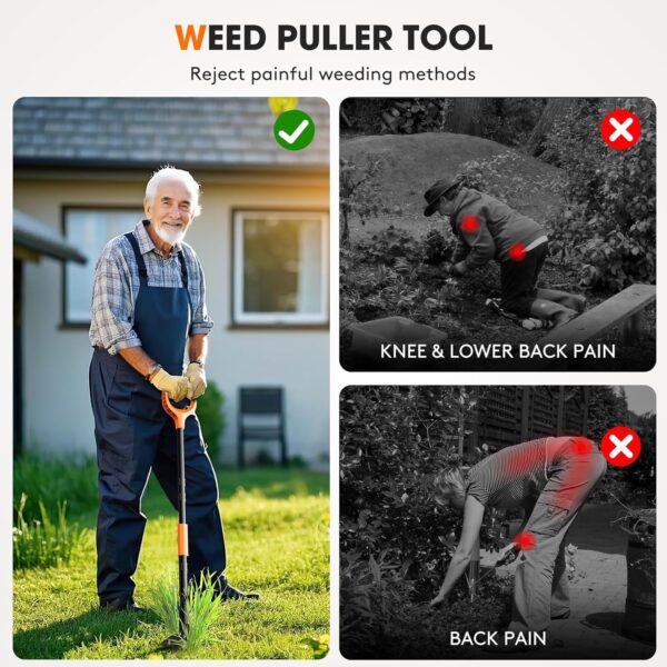 Stand-Up Weeder and Root Removal Tool