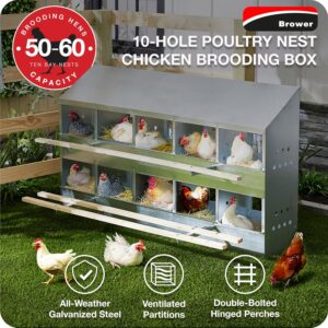Poultry Nests