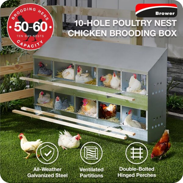Poultry Nests