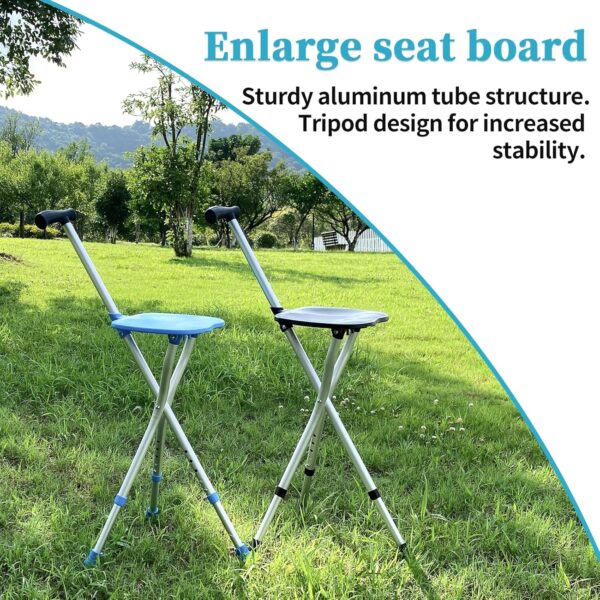Seat Cane