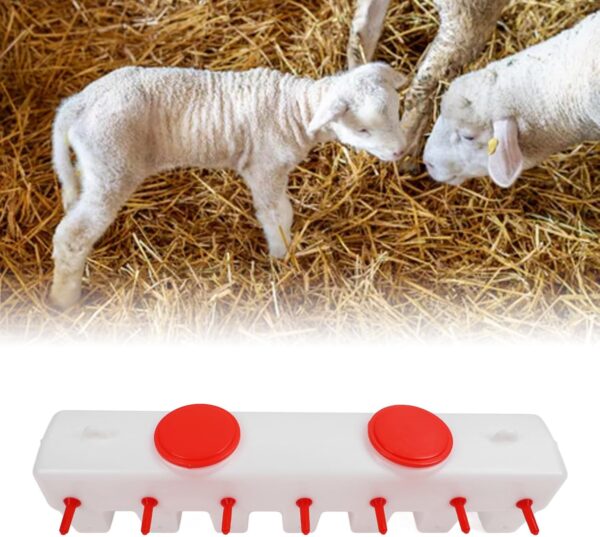 Lamb/Piglet Self Feeder - Image 3