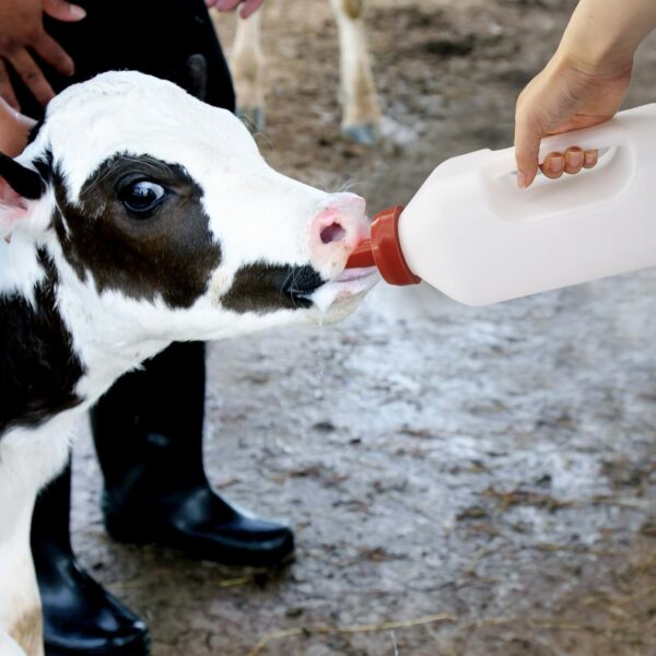 Calf Bottle with Handle
