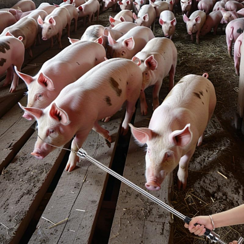 Small Animal Catcher - Image 8