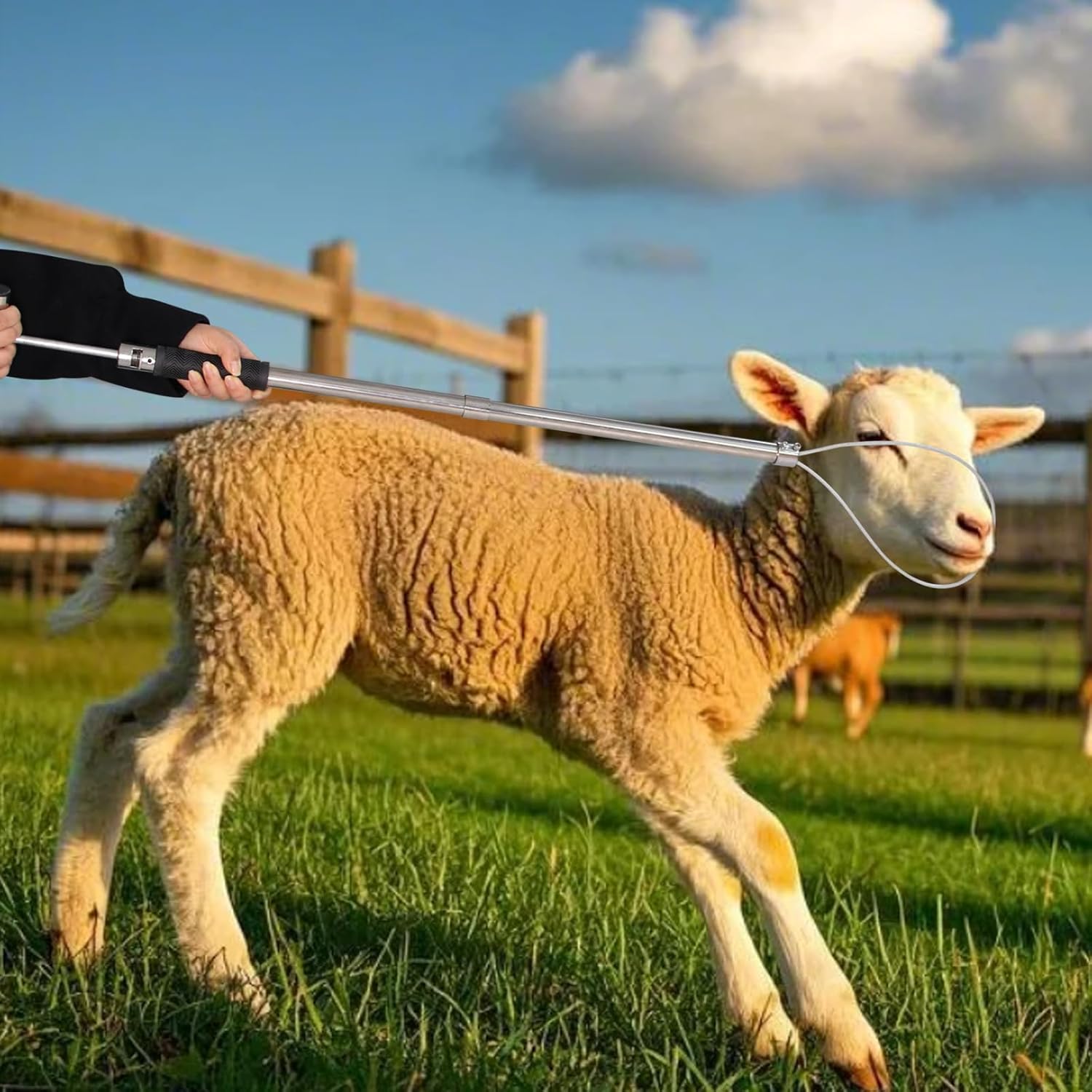 Small Animal Catcher - Image 7