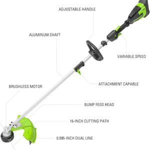 Lightweight Cordless String Trimmer