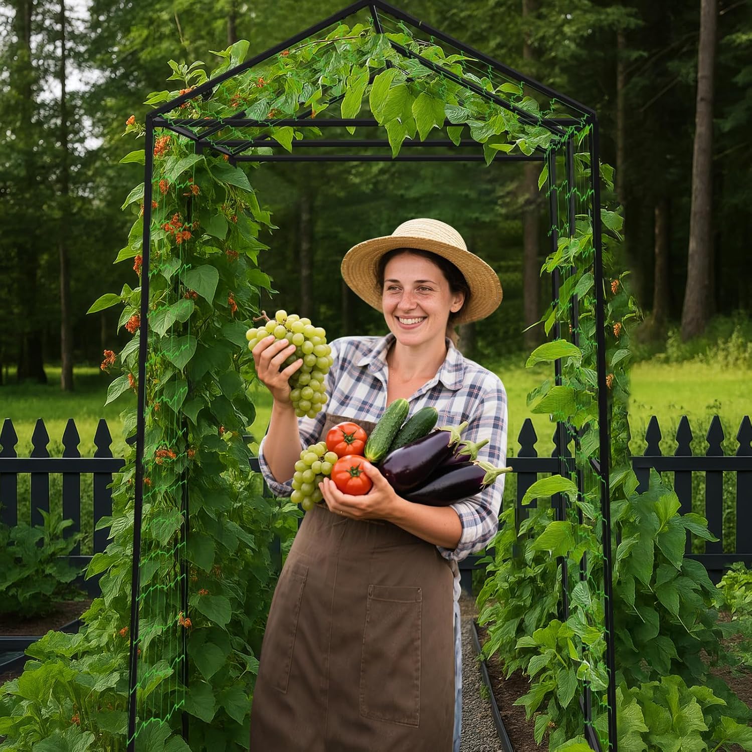 Garden Arch Trellis - Image 2