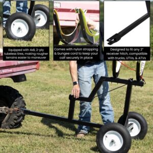 Livestock Cart and Receiver Hitch Calf Carrier