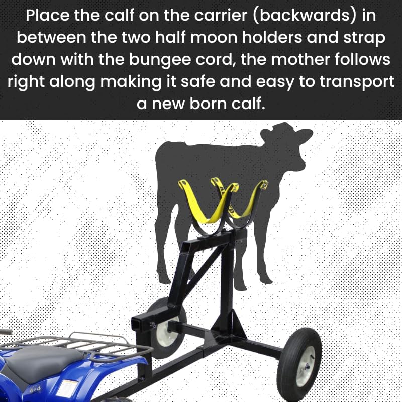 Livestock Cart and Receiver Hitch Calf Carrier - Image 2