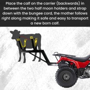 Receiver Hitch Calf Carrier